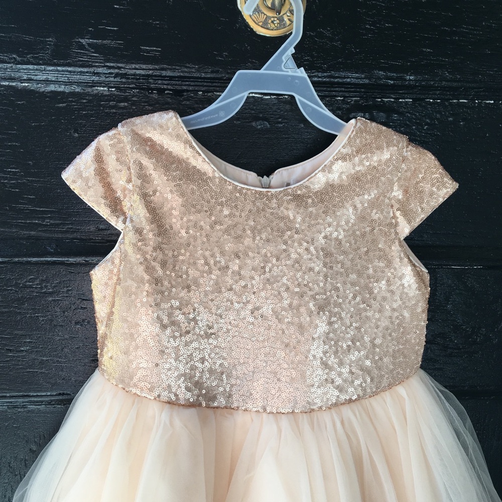 Little girls tulle and sequin dress
